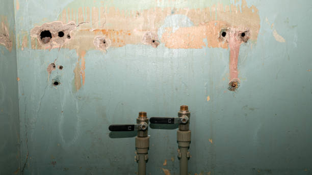 Best 24/7 water damage repair  in Breckenridge, MN